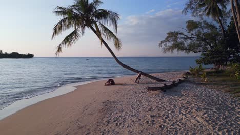 Breathtaking-aerial-view-flight-slowly-sinking-down-drone-of
yoga-Woman-under-a-palmtree-at-koh-kood-seacret-beach-thailand,-sunset-2022