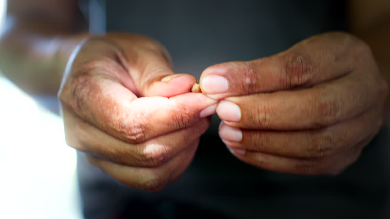 kopi luwak, selección de excrementos, una bebida asiática cara