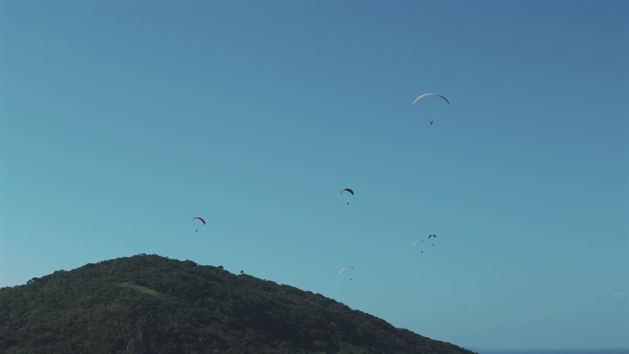 파라글라이더는 멋진 빛의 날에 브라질 해안선을 따라 동기화된 조화롭게 날아갑니다.