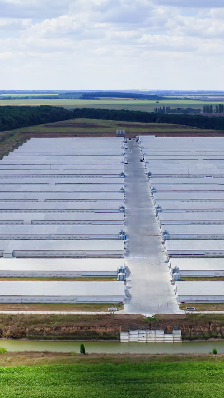 Large modern farm in the countryside. Rows of white farmhouses on field. Agricultural complex on green landscape. Aerial view. Vertical video