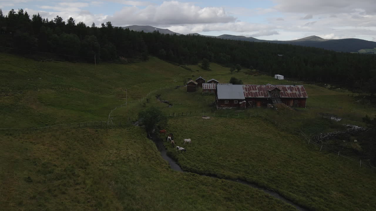 беспилотник движется по горизонтали вперед и захватывает несколько небольших коттеджей в долине норвегии с пасущимися на поле овцами