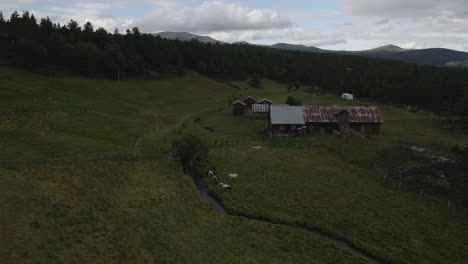 drone move horizontally forward and capture the few small cottage in the valley of norway with sheep grazing on the field