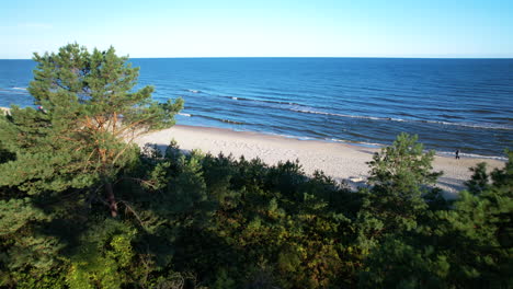 scenic seascape with lush vegetation in krynica morska, poland - aerial drone shot