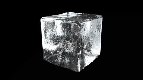 ice cube