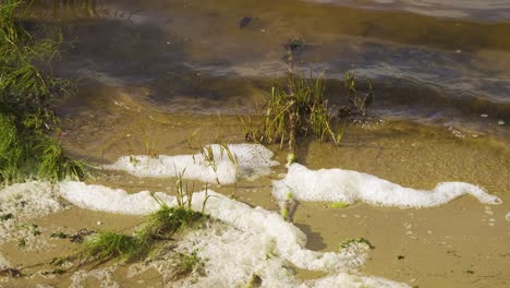 4k river foam settling in the bedside of the ria de aveiro on the estuary of river vouga, 60fps