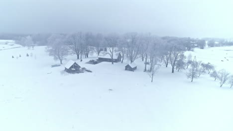 sobrevuelo aéreo paisaje nevado de invierno y casa de campo cubierta de nieve en el campo - inclinación hacia abajo