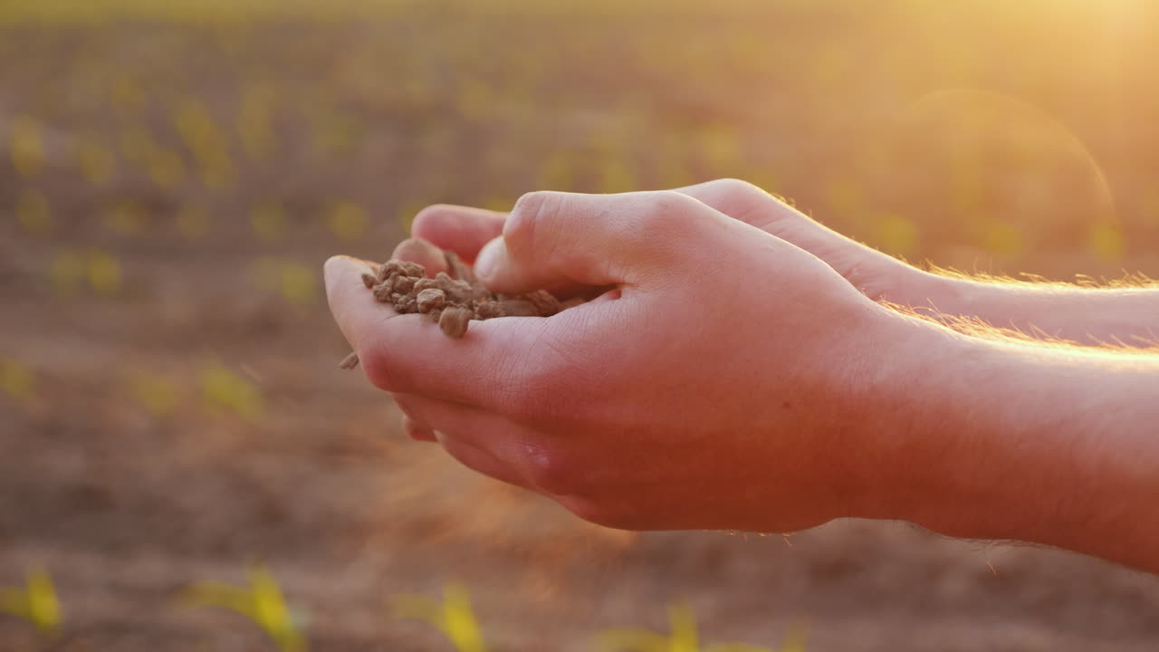 manos del hombre del granjero sosteniendo el suelo tocando sus dedos contra el fondo de un campo