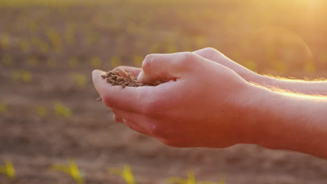 Hände-Des-Bauernmannes,-Die-Den-Boden-Halten-Und-Ihre-Finger-Vor-Dem-Hintergrund-Eines-Feldes-Berühren