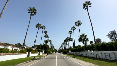 palm trees lining road in san roque in spain