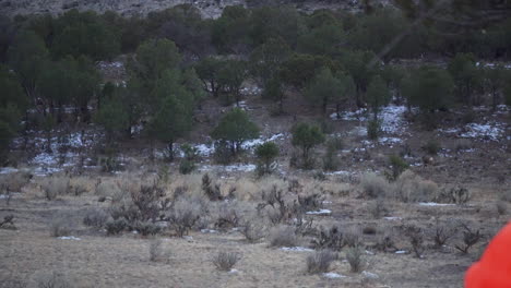 Cientos-De-Ciervos-Corriendo-En-La-Naturaleza-Desde-La-Vista-Del-Cazador