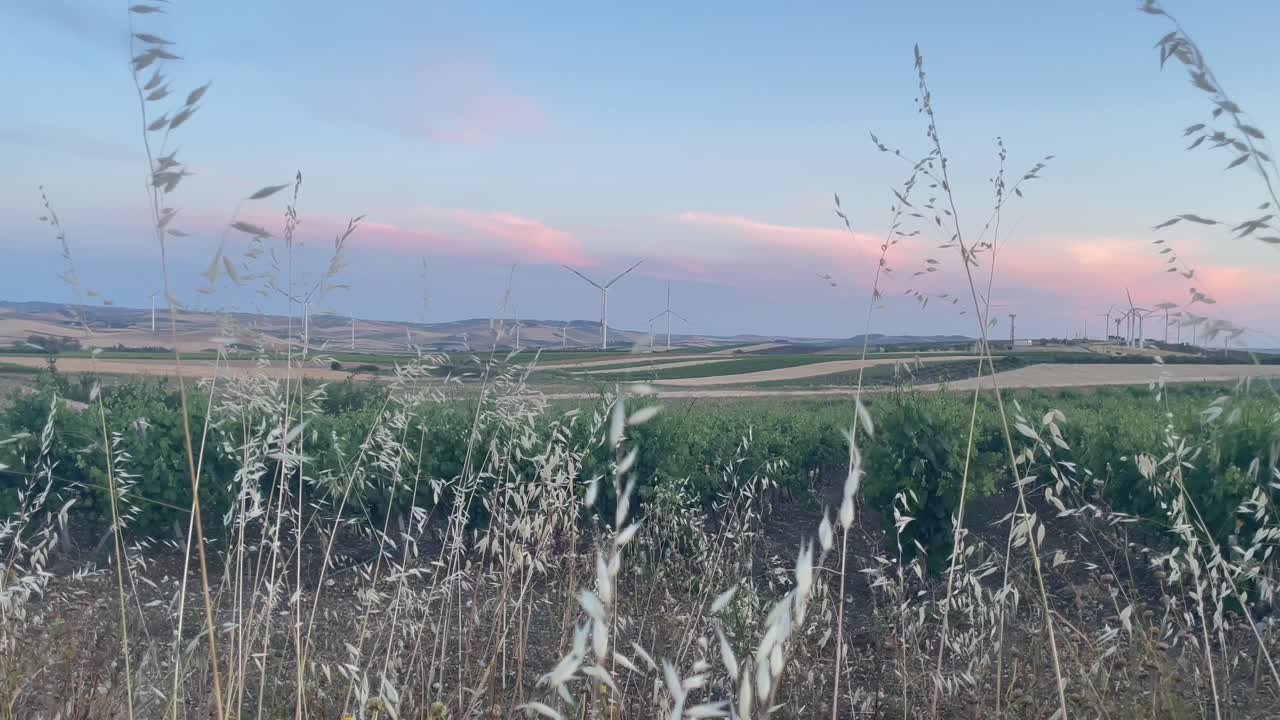 태양 서쪽 풍력 터빈 농업 밀 곡물 에서 생태 녹색 에너지