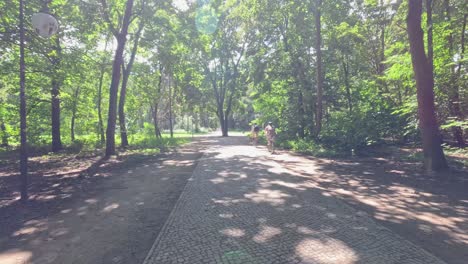 a cyclist moves along a tree-lined park path in berlin on a sunny summer day, with dappled sunlight and steady forward camera movement