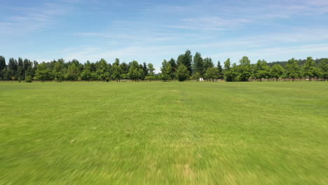 flying through the sky over trees and pastures after running fast and low through the park