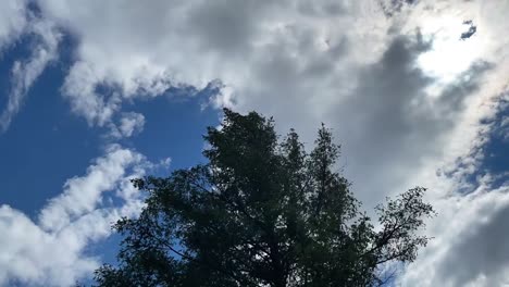 Lapso-De-Tiempo-De-Pasar-Nubes-Con-árbol-En-Primer-Plano