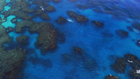 un dron captura una toma aérea de un arrecife de laguna azul con olas rompiendo durante el día