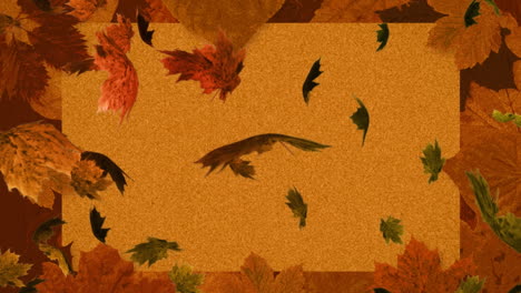 animación de varias hojas de otoño que caen sobre un fondo marrón