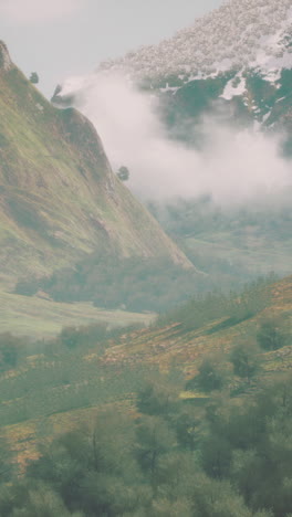 a mountain range with fog rolling in