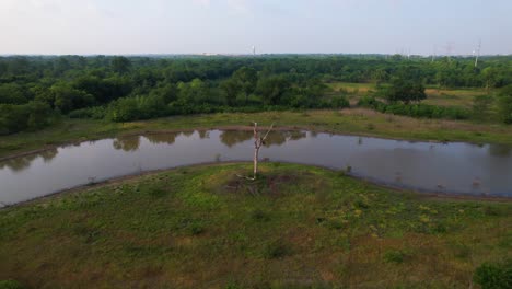 Imágenes-Aéreas-Se-Acercan-A-Un-Estanque-Y-Un-árbol-Muerto