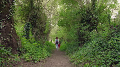 Young-girl-walking-away-from-the-camera-along-a-beautiful-woodland-path---model-released---4k-May-2021