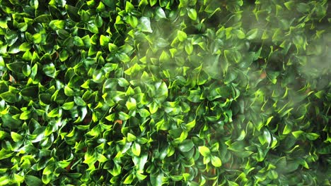 Dampf-Aus-Einem-Luftbefeuchter-Mit-Grünem-Blätterhintergrund
