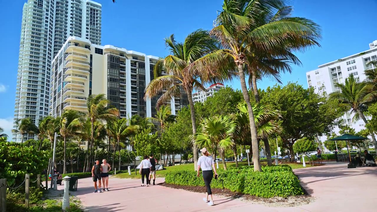 Miami, USA, 16 aprile 2026: Passeggiata fiancheggiata da palme accanto ai condomini di Miami Beach. Passeggiata pedonale con palme, vegetazione e condomini a molti piani a Miami Beach alla luce del giorno.