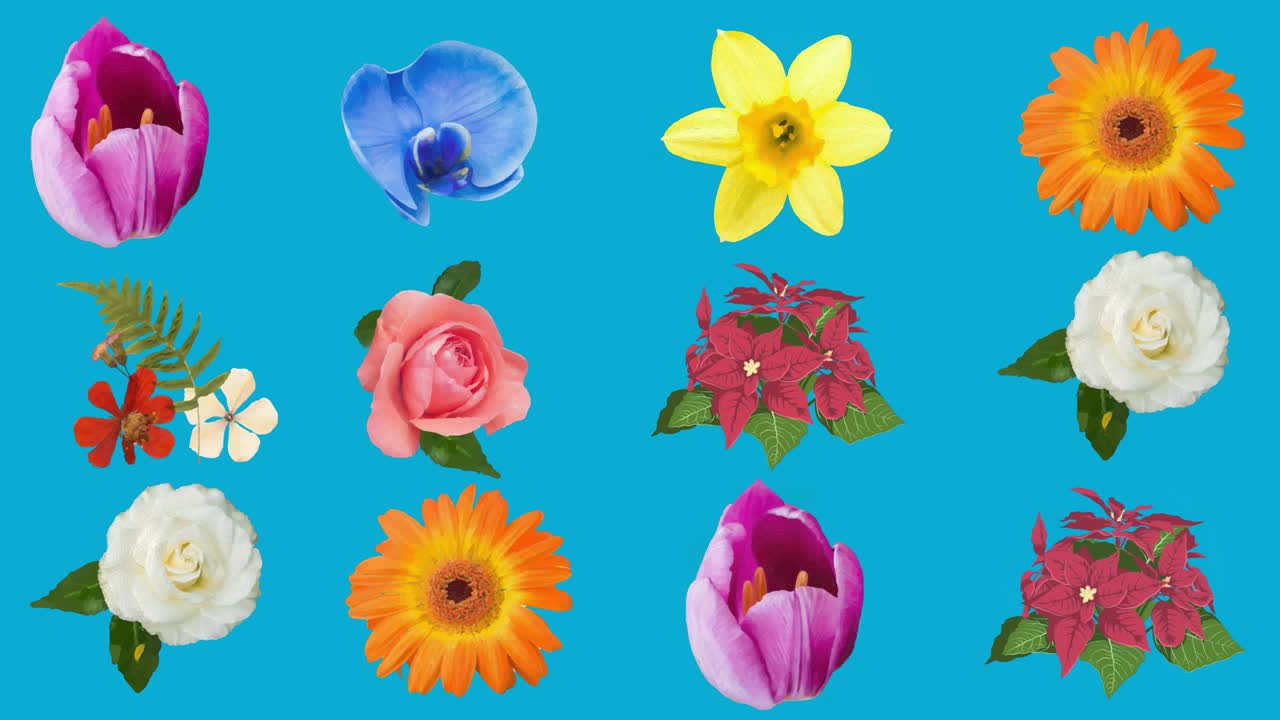 파란색 배경에서 최면 운동으로 움직이는 꽃의 애니메이션