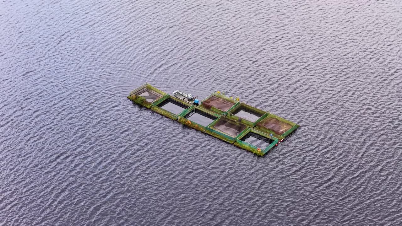 Drone footage circles floating fish cages and net pens on calm reservoir water, with soft daylight and steady, smooth camera movement throughout