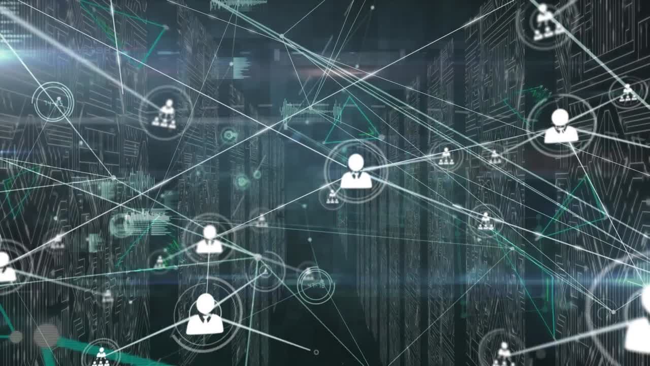 Animation of network of connections and data processing over computer server