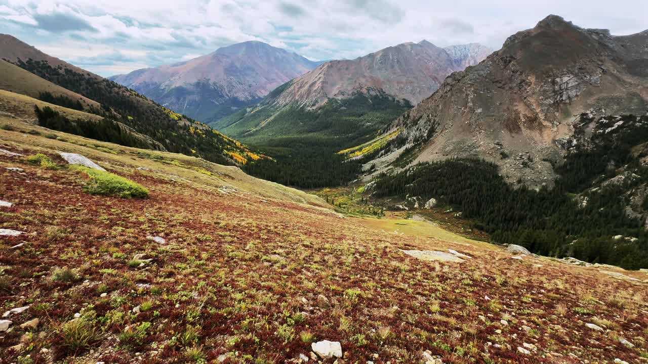 por encima del monte parecido a un árbol sendero masivo área silvestre mt elbert picos universitarios verano otoño montañas rocosas cumbre de colorado excursionista senderismo 14er sawatch rango buena vista mañana tiro estático frío