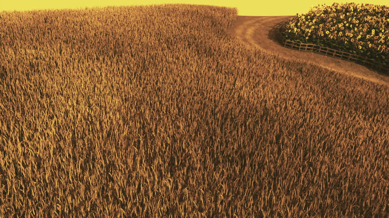 Golden wheat field under the warm sunlight with a winding pathway in rural area