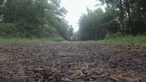 runner enjoying early morning jog through forest