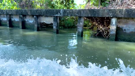 a dynamic boat journey along a bangkok canal, showcasing splashing water and lush greenery under bright daylight