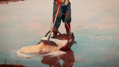 low section of a man scooping salt into a woven basket showing the traditional method of harvesting salt in kampot, cambodia