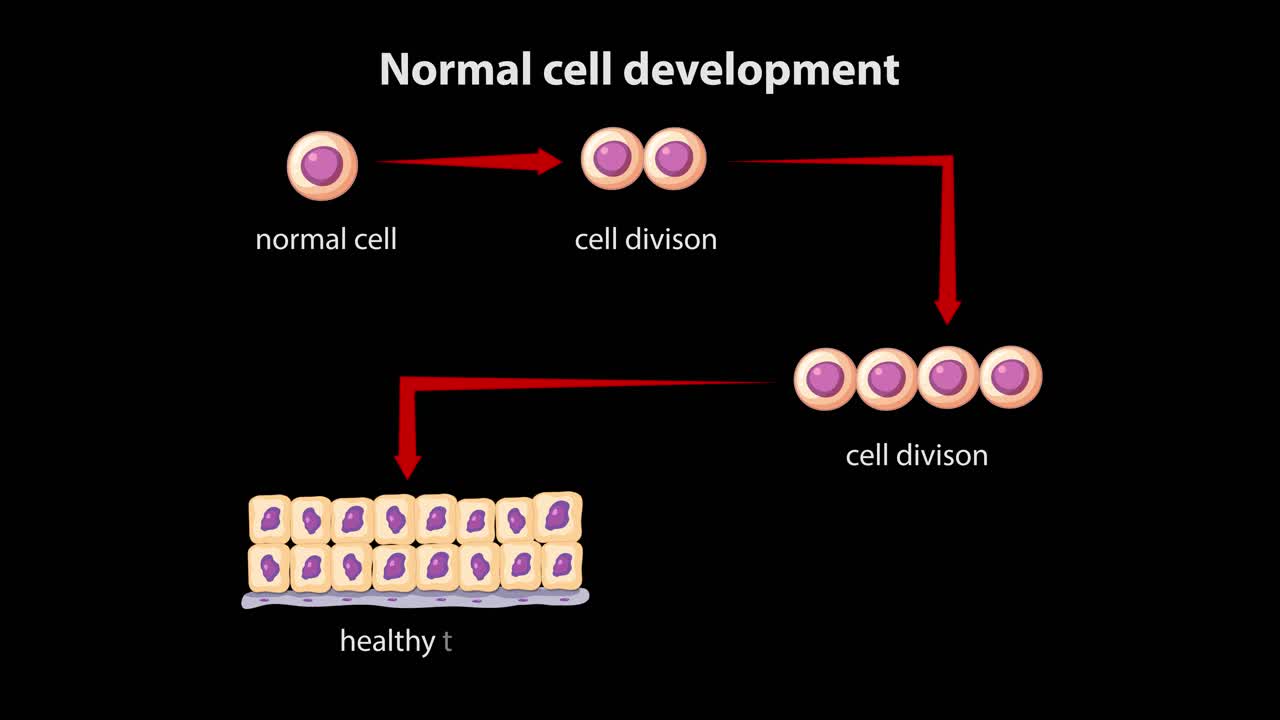 Animated sequence shows normal human cell division and healthy tissue formation on black background