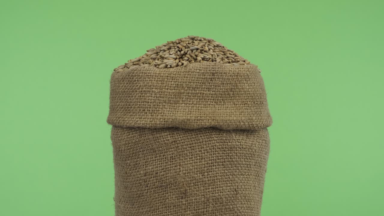 Rotating a full bag of rye grain. Close-up.