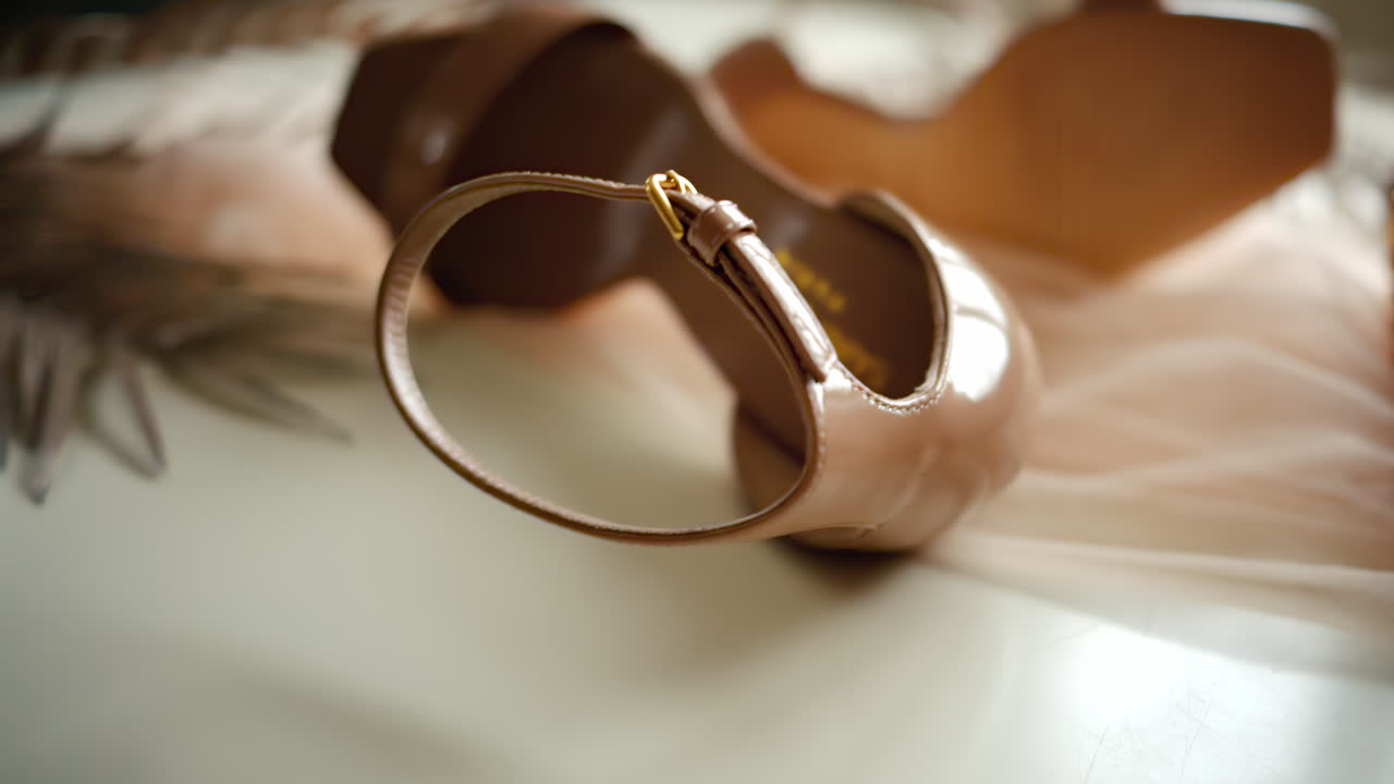 A beige pair of strappy heels on a piece of tulle
