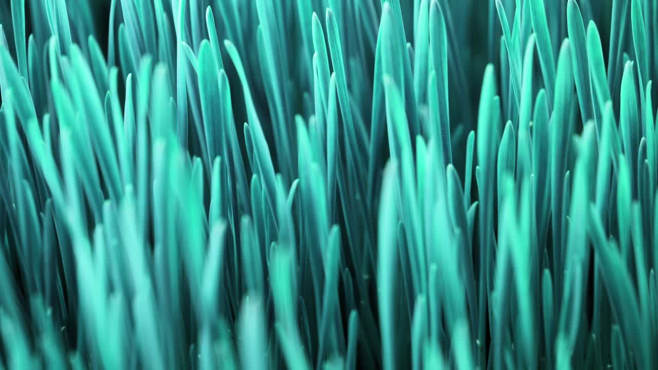 다채로운 루프 아트 컨셉, 파란색 식물 성장, 미니멀 스 모션 디자인, 시안 초현실적인 트렌드, 푸른색