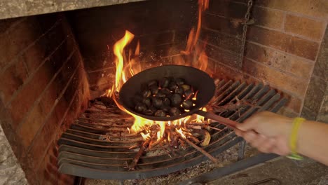 roasting chestnuts in a fireplace, fixed shot