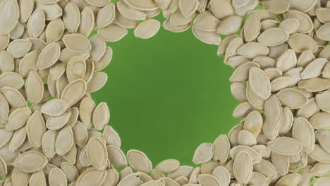 rotation of pumpkin seeds scattered in a circle with space in the center. top view.