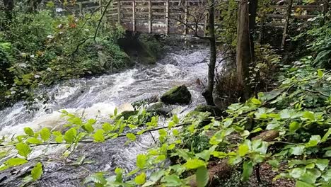 Slow-Motion-Of-Natural-Waterfall-In-Heart-Of-Green-Nature,-Anglesey