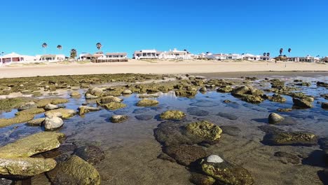 when the tide goes out people play on the edge of the wrack line, puerto peñasco, gulf of california, mexico