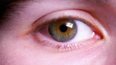 4k cinematic slow motion macro shot of a green right eye, with blue and brown flecks, opening and looking into the camera