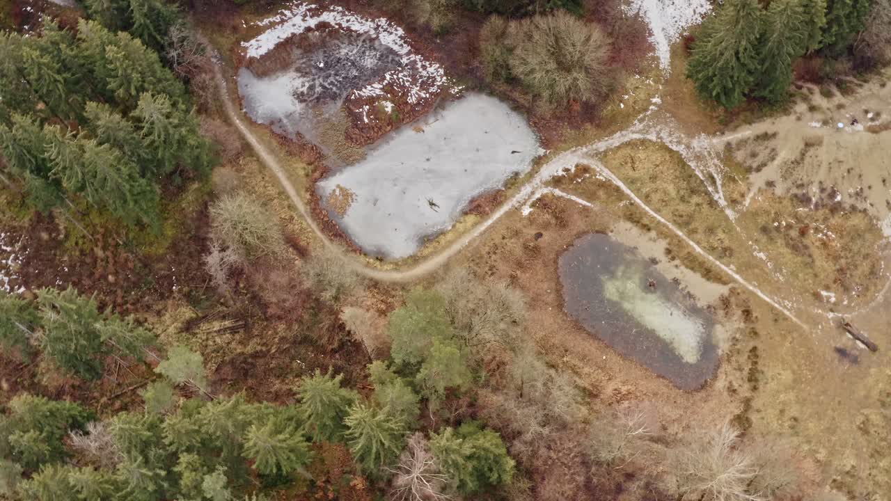 tiros de drones de lagos congelados en un paisaje forestal en invierno sin vista de paisaje de persona