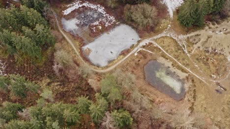 turning drone shot of frozen lakes in a forest scenery at wintertime with no person landscape view