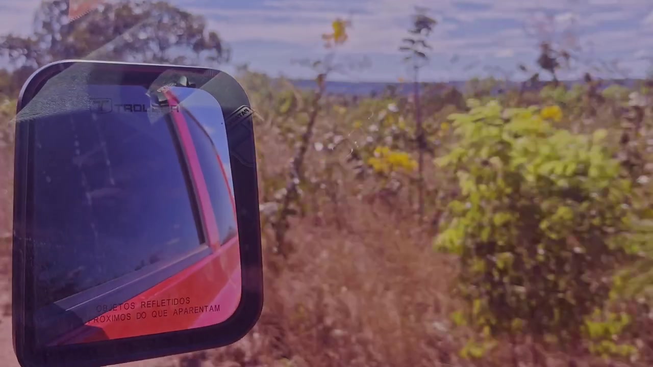Savannas, Brazil, Dirt Track Roads, Arid Climate Environments, Wilderness Adventures, Remote Travels