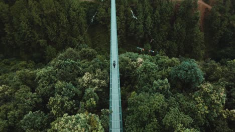 aerial view of suspension bridge middle of the forest in kathmandu, nepal