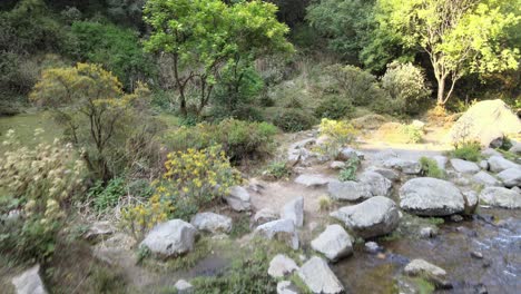 Klüver-In-Kleinem-Wasserfall