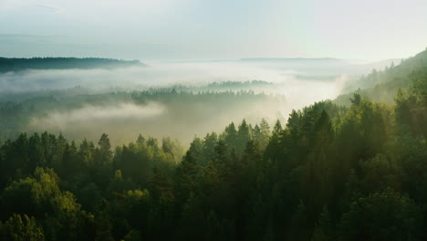 Passage-over-scenic,-sunlit-evergreen-mountains-shrouded-in-mist,-aerial-shot