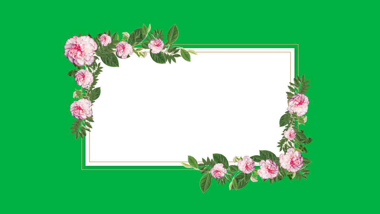 Animated Floral Frame with Pink Peonies on Green Screen