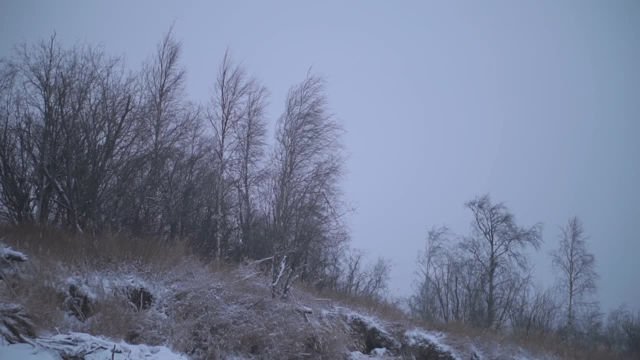 paisaje nevado de invierno
